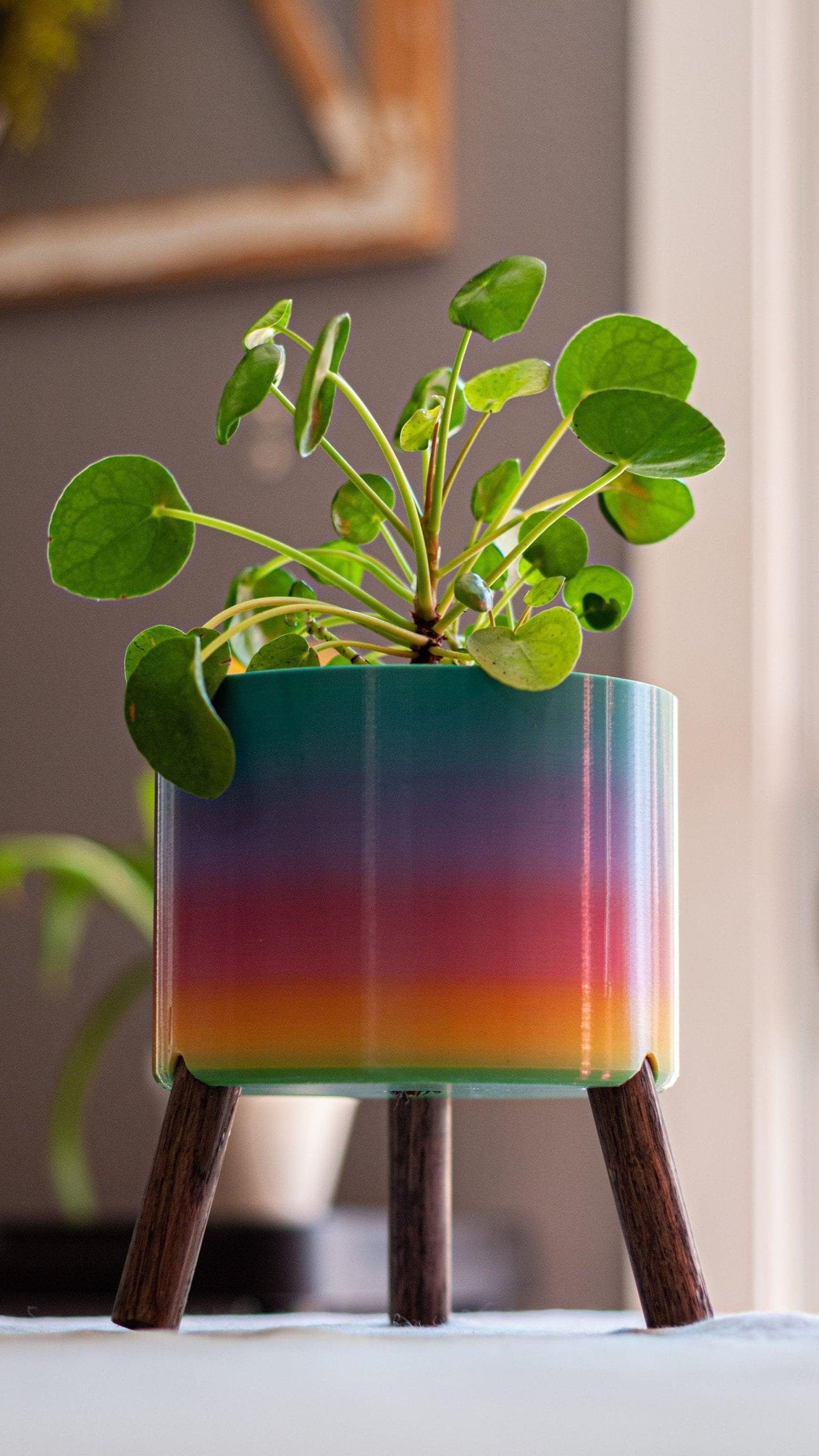 PRIDE Offset Planter | Donations to The Trevor Project | LGBTQ+ - Reagan Woodworks