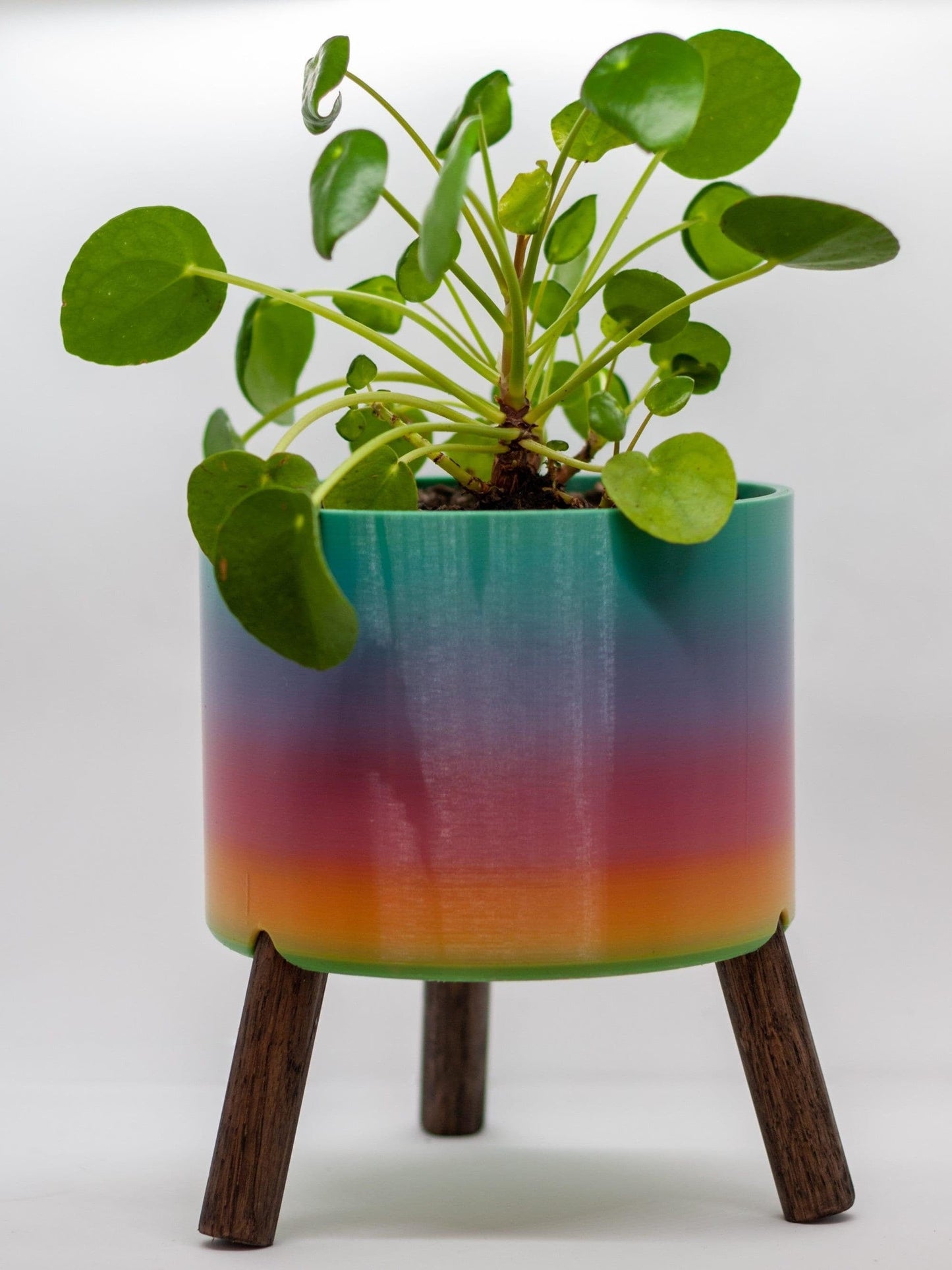 PRIDE Offset Planter | Donations to The Trevor Project | LGBTQ+ - Reagan Woodworks