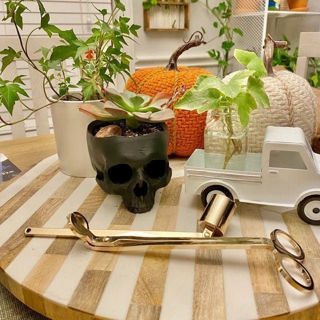 Skull Planter | Halloween Home Decor | Seasonal Decoration