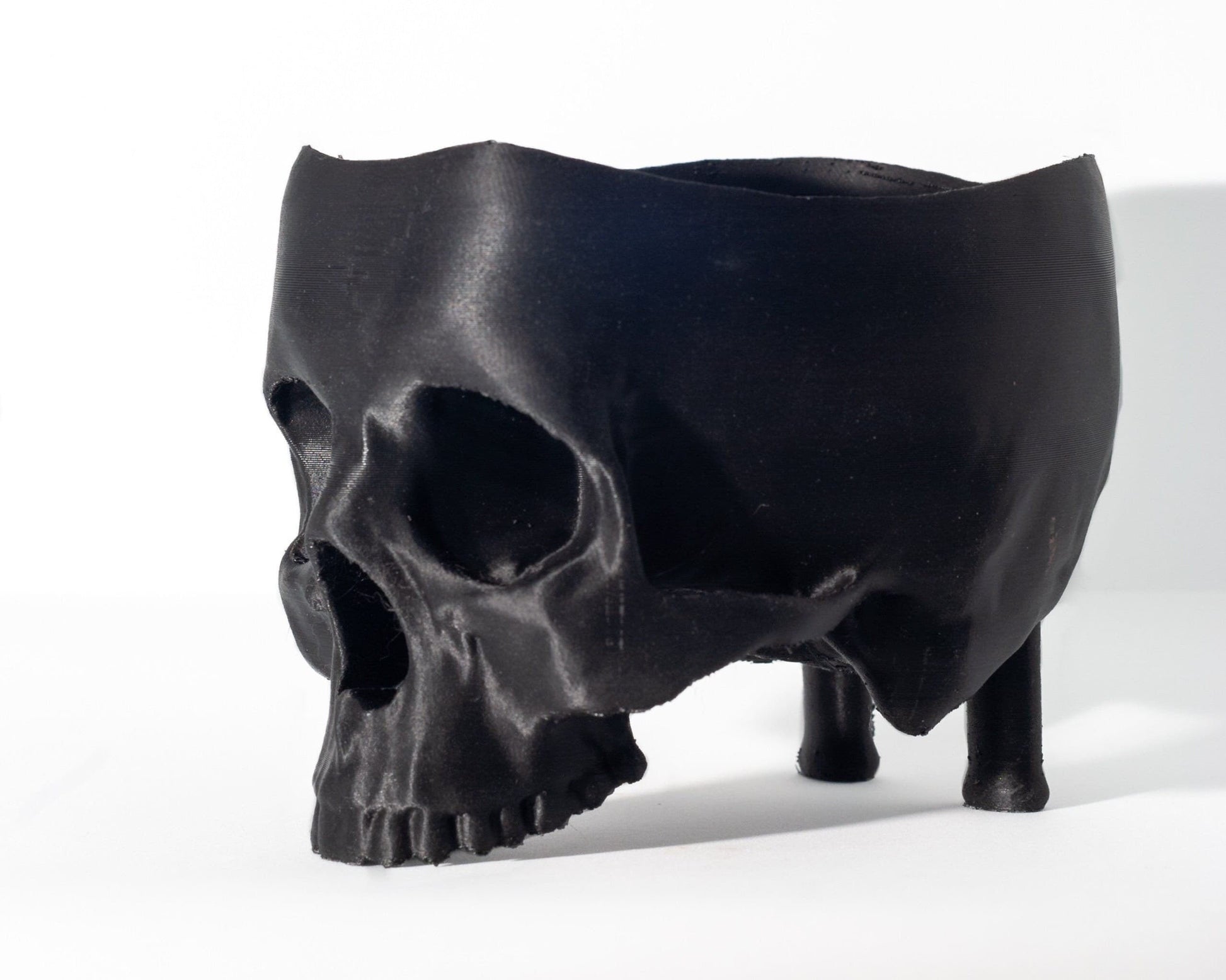 Skull Planter | Halloween Home Decor | Seasonal Decoration