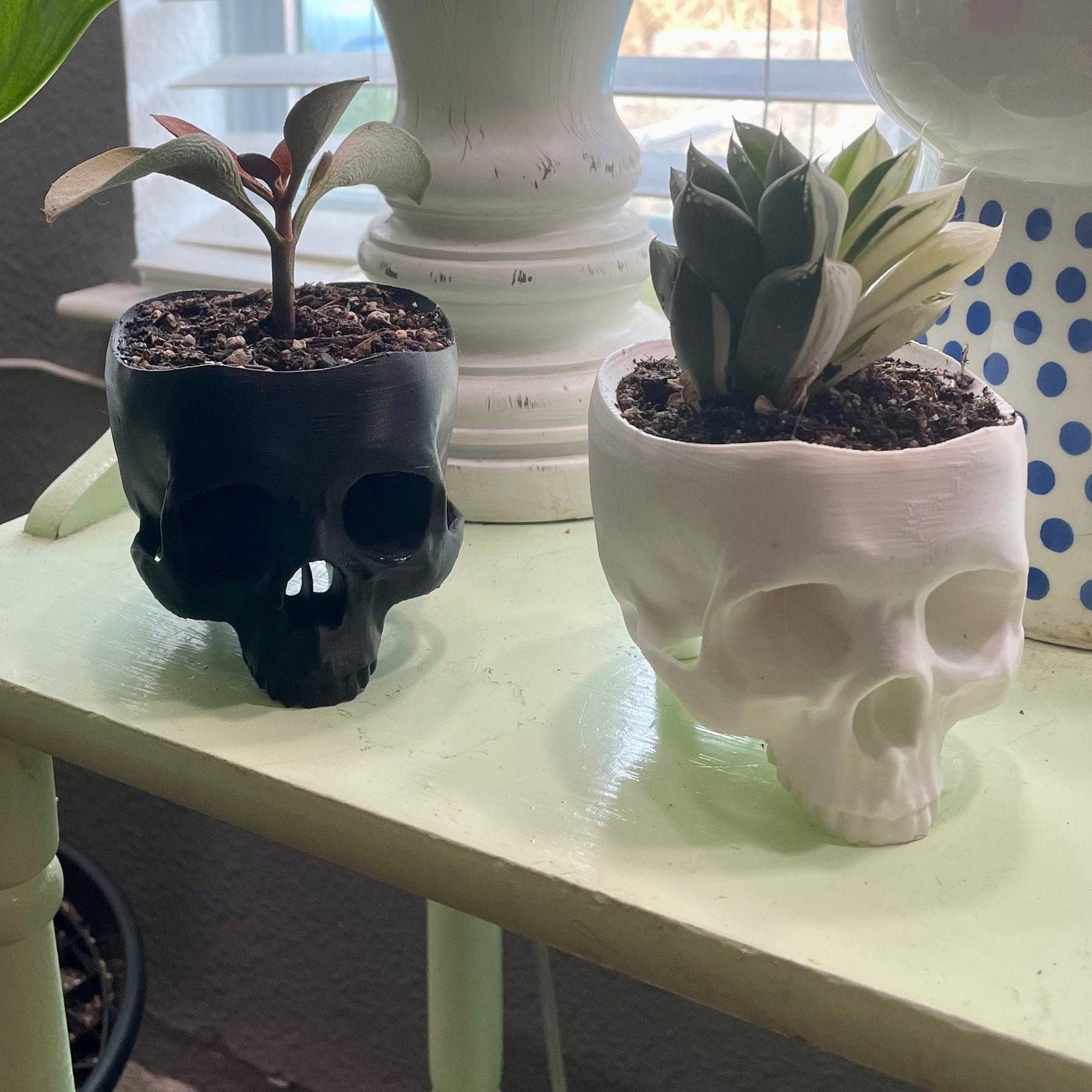 Skull Planter | Halloween Home Decor | Seasonal Decoration