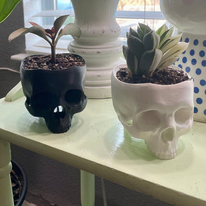 Skull Planter | Halloween Home Decor | Seasonal Decoration