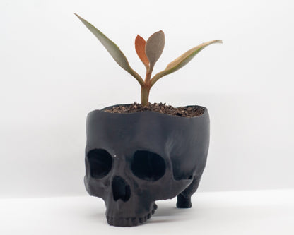 Skull Planter | Halloween Home Decor | Seasonal Decoration