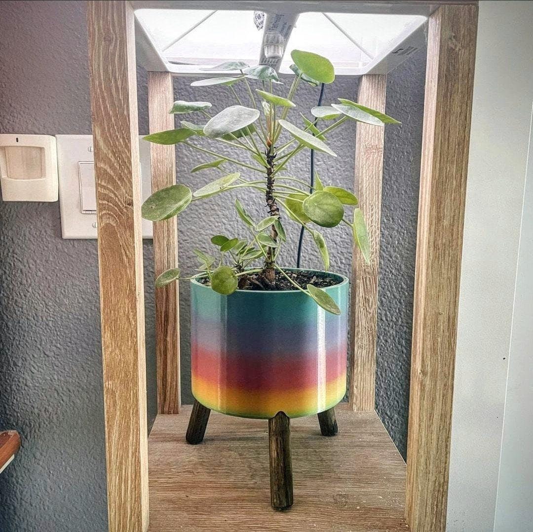 PRIDE Offset Planter | Donations to The Trevor Project | LGBTQ+ - Reagan Woodworks